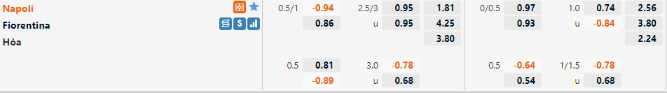 Napoli vs Fiorentina Napoli vs Fiorentina