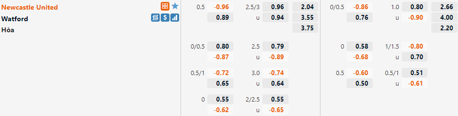 Newcastle vs Watford
