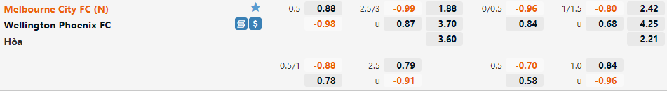 Melbourne City vs Wellington Phoenix Melbourne City vs Wellington Phoenix