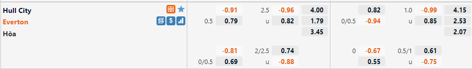 Hull City vs Everton