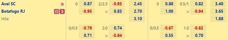 Nhận định Avai vs Botafogo 5h00 ngày 710 (VĐQG Brazil 2022) 1