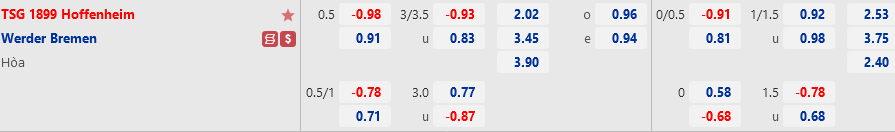 Hoffenheim vs Bremen Hoffenheim vs Bremen