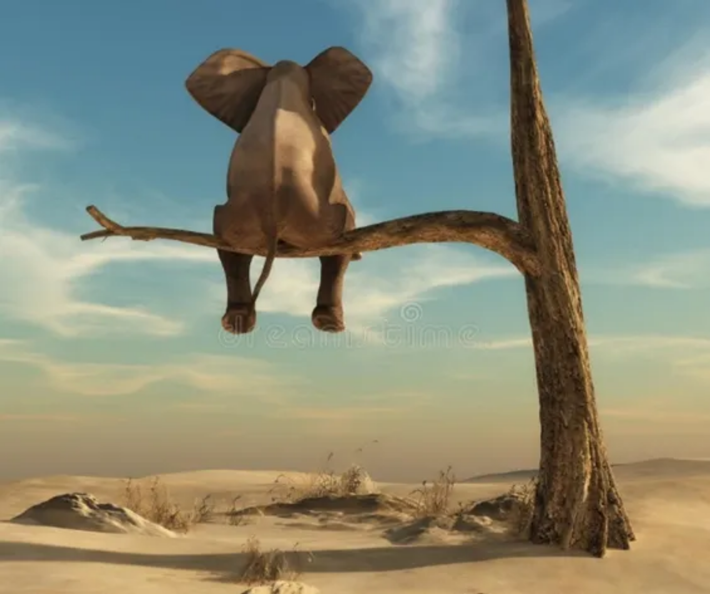 Polish_20221009_122725959 Polish_20221009_122725959