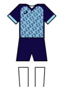 Màu áo sân khách