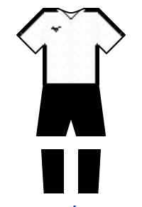 Màu áo sân khách