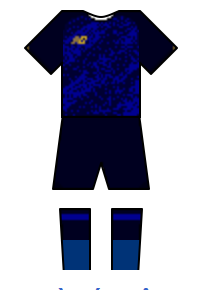 Màu áo sân khách