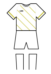 Màu áo sân khách