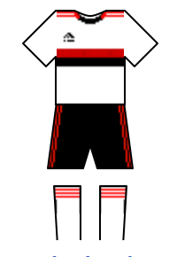 Màu áo sân khách