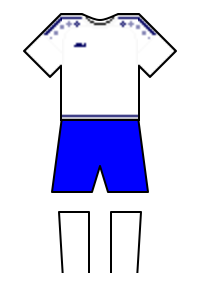 Màu áo sân khách