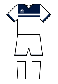 Màu áo sân khách