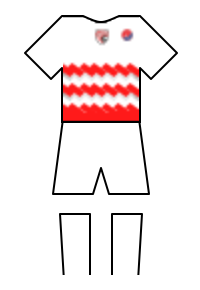 Màu áo sân khách