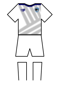 Màu áo sân khách