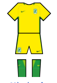 Màu áo sân khách