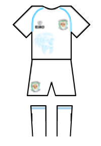 Màu áo sân khách