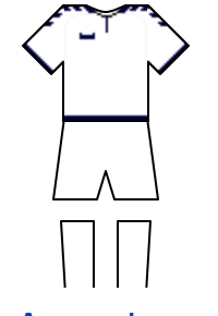 Màu áo sân khách