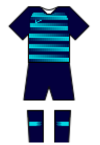 Màu áo sân khách