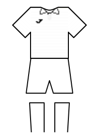 Màu áo sân khách