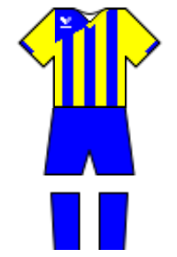 Màu áo sân khách