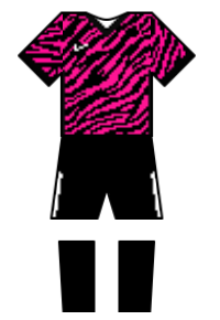 Màu áo sân khách