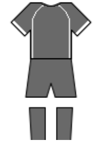 Màu áo sân khách