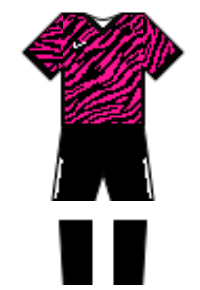 Màu áo sân khách