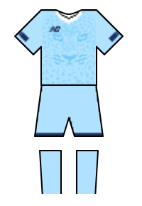 Màu áo sân khách