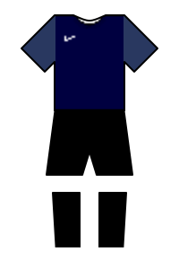 Màu áo sân khách