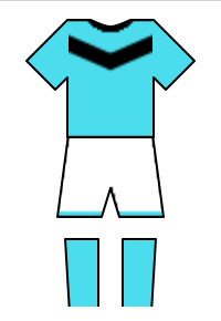 Màu áo sân khách