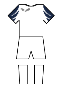 Màu áo sân khách