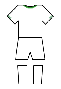 Màu áo sân khách