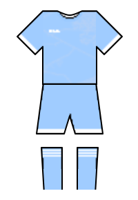 Màu áo sân khách