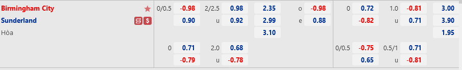 Birmingham vs Sunderland