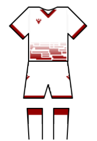 Màu áo sân khách