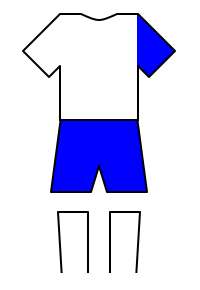 Màu áo sân khách