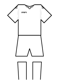 Màu áo sân khách