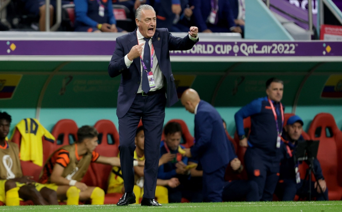 HLV Gustavo Alfaro Qatar vs Ecuador 20/11