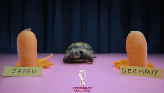 Thần Rùa và Đại bàng dự đoán kết quả trận Đức vs Nhật Bản Than Rua va dai bang du doan ket qua tran duc vs Nhat Ban