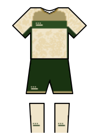 Màu áo sân khách