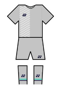 Màu áo sân khách