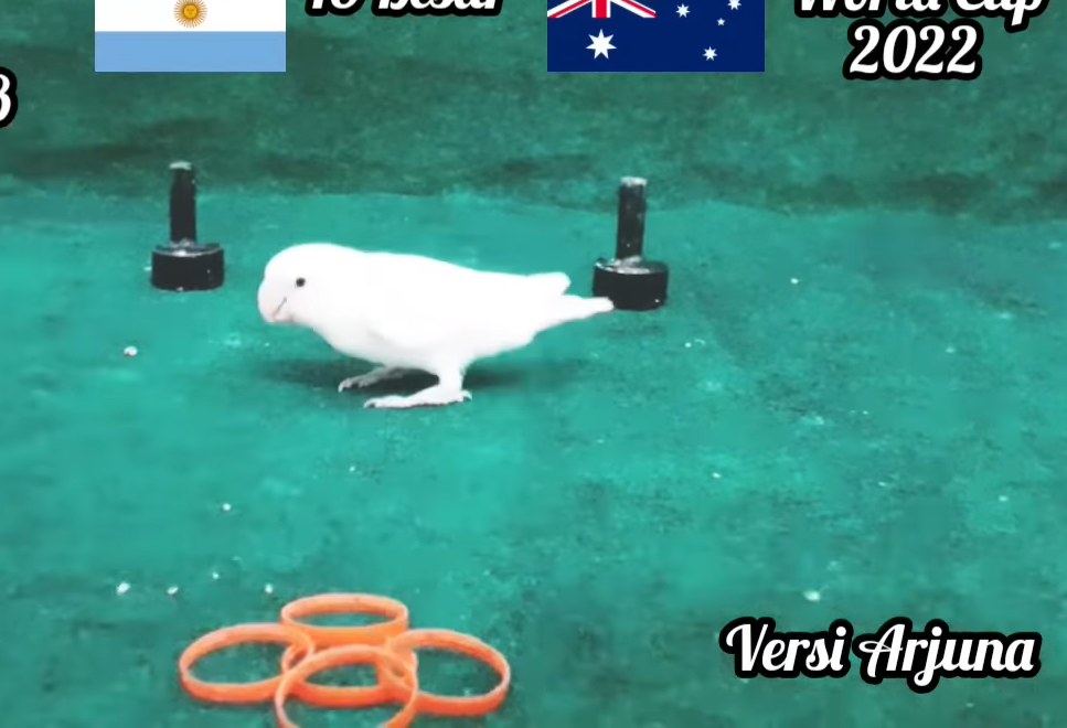 Vet tien tri du doan ket qua tran Argentina vs Australia