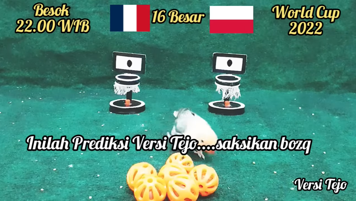 Vet Arjuna du doan ket qua tran Phap vs Ba Lan