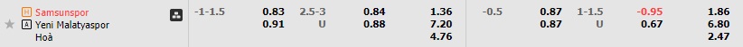 Nhận định Samsunspor vs Yeni Malatyaspor 0h00 ngày 1012 (Hạng 2 Thổ Nhĩ Kỳ 202223) 1