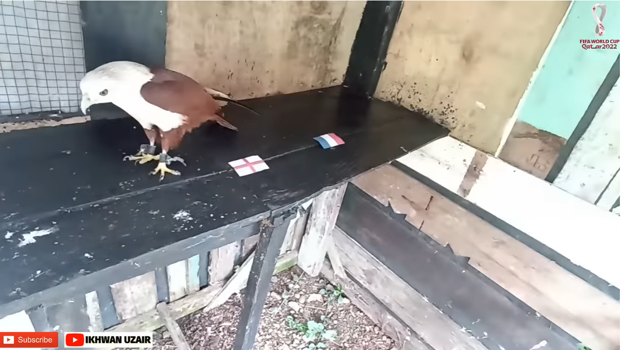 Đại bàng Romeo dự đoán cục diện trận Anh vs Pháp dai bang Romeo du doan cuc dien tran Anh vs Phap