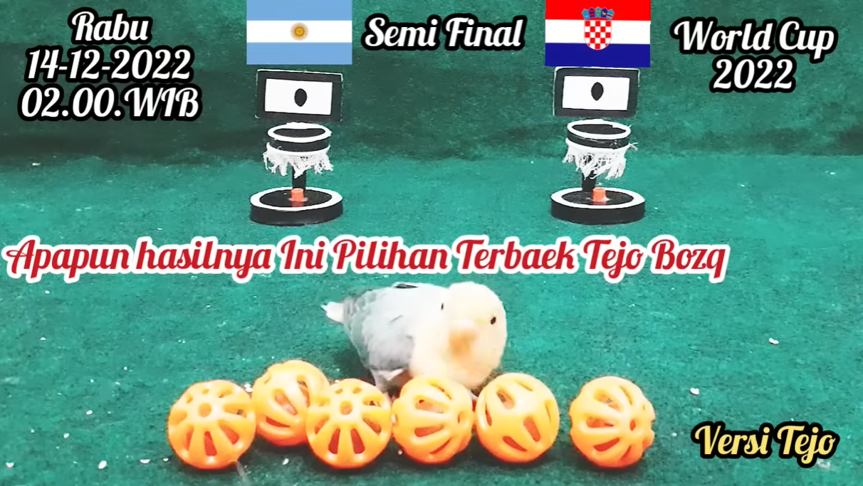 Chim than du doan ket qua tran Argentina vs Croatia