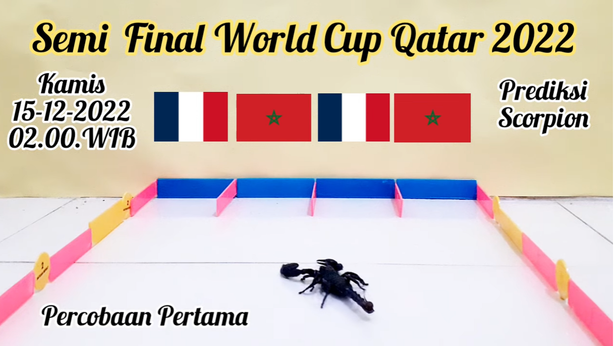 Them bo cap du doan ket qua tran Phap vs Marocco