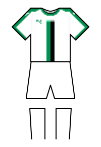 Màu áo sân khách