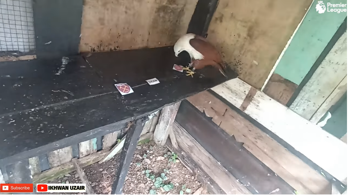 dai bang tien tri du doan the nao ve tran Arsenal vs West Ham?