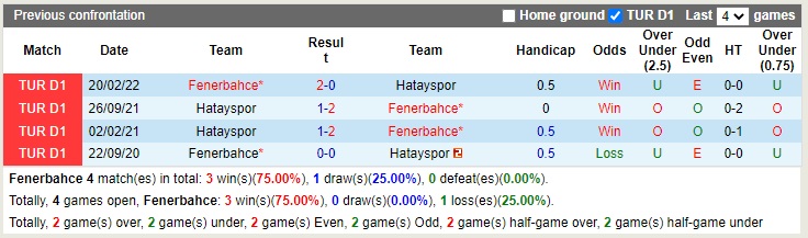 Nhận định Fenerbahce vs Hatayspor 00h00 ngày 2812 (VĐQG Thổ Nhĩ Kỳ 2022) 2