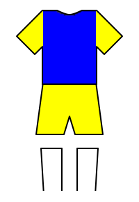 Màu áo sân khách