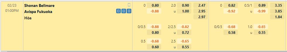 Shonan Bellmare vs Avispa Fukuoka